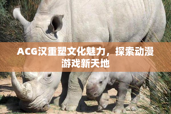 ACG汉重塑文化魅力，探索动漫游戏新天地