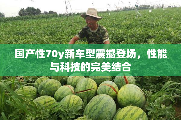 国产性70y新车型震撼登场，性能与科技的完美结合