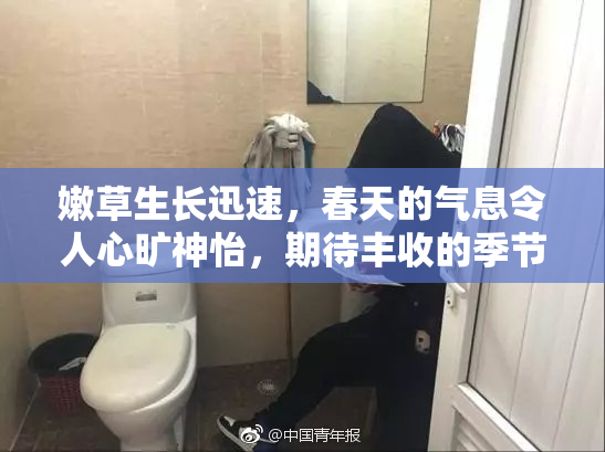 嫩草生长迅速，春天的气息令人心旷神怡，期待丰收的季节。