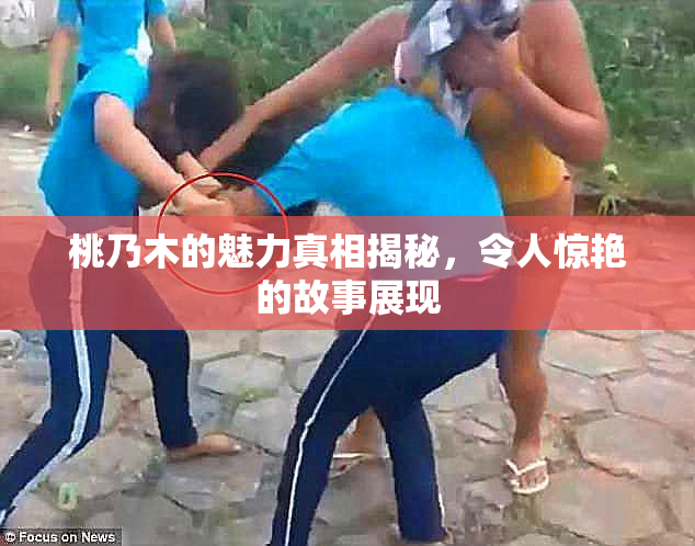 桃乃木的魅力真相揭秘，令人惊艳的故事展现