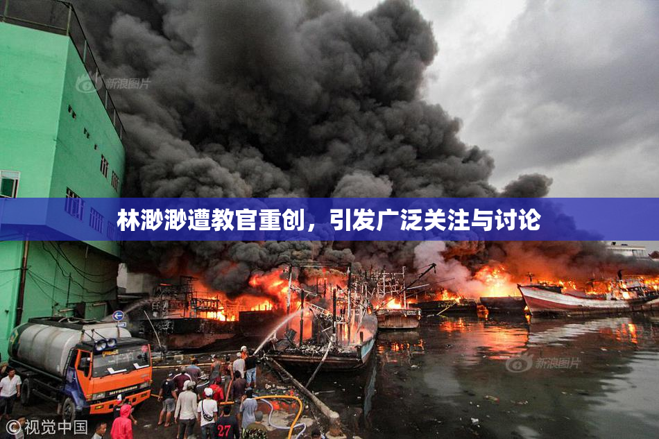 林渺渺遭教官重创，引发广泛关注与讨论