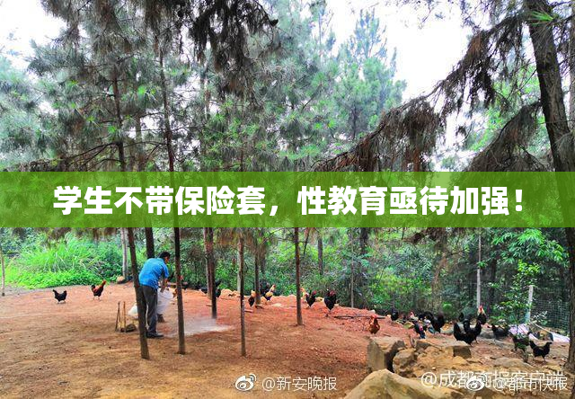 学生不带保险套，性教育亟待加强！