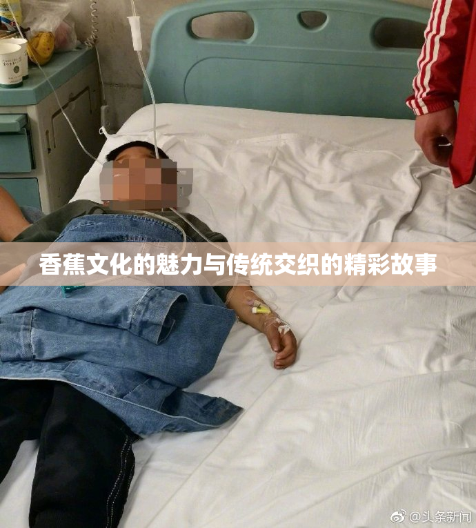 香蕉文化的魅力与传统交织的精彩故事