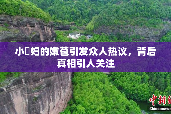 小婬妇的嫩苞引发众人热议，背后真相引人关注