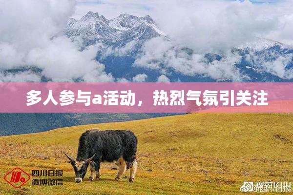 多人参与a活动，热烈气氛引关注