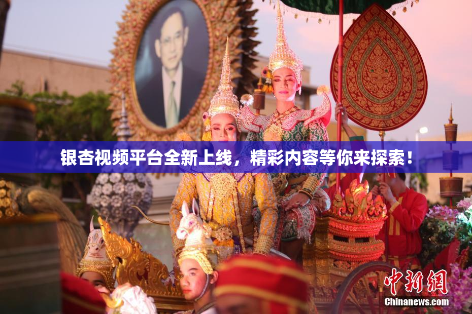 银杏视频平台全新上线，精彩内容等你来探索！
