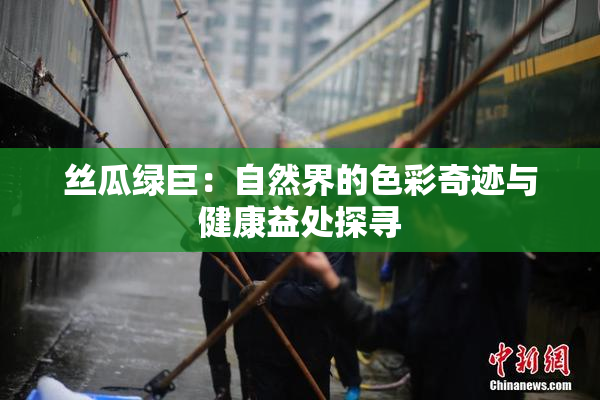 丝瓜绿巨：自然界的色彩奇迹与健康益处探寻