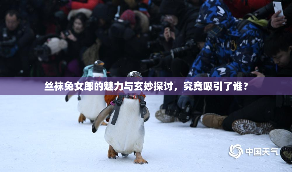 丝袜兔女郎的魅力与玄妙探讨，究竟吸引了谁？