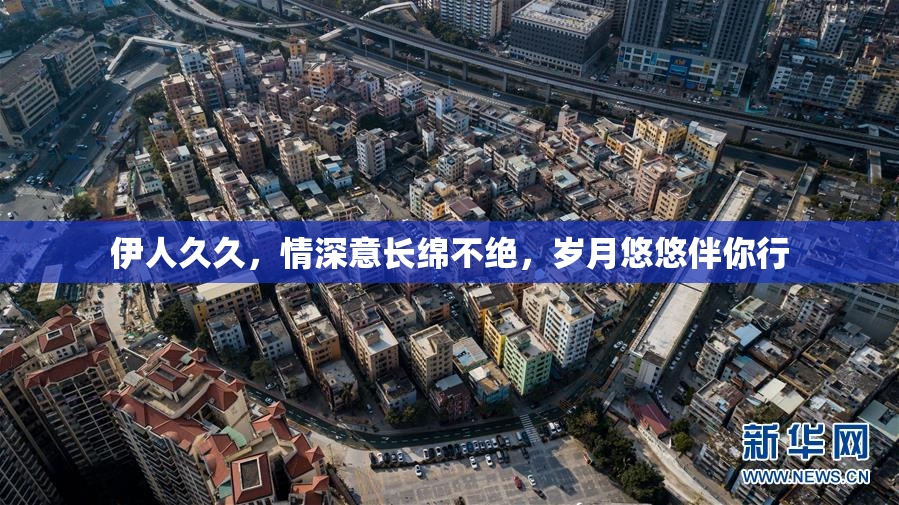 伊人久久，情深意长绵不绝，岁月悠悠伴你行