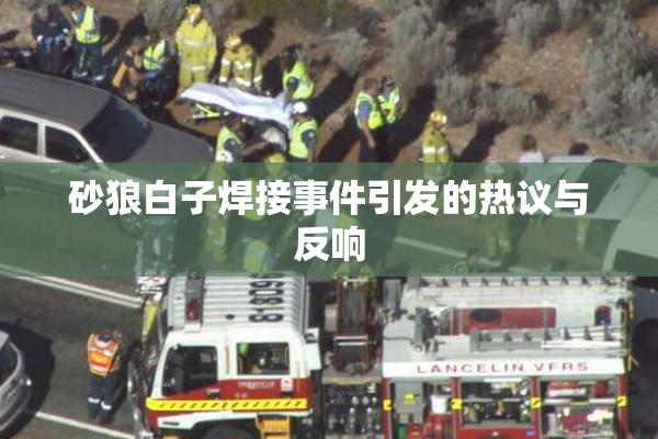 砂狼白子焊接事件引发的热议与反响