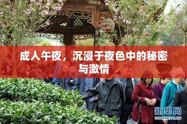 成人午夜，沉浸于夜色中的秘密与激情
