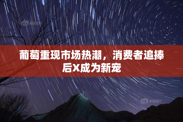 葡萄重现市场热潮，消费者追捧后X成为新宠