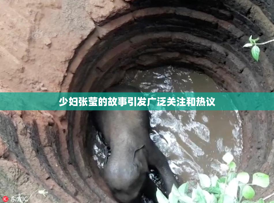 少妇张莹的故事引发广泛关注和热议