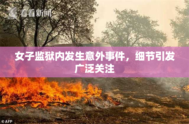 女子监狱内发生意外事件，细节引发广泛关注