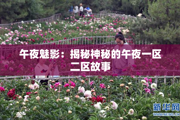 午夜魅影：揭秘神秘的午夜一区二区故事