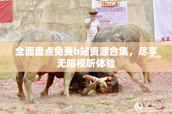 全面盘点免费b站资源合集，尽享无限视听体验