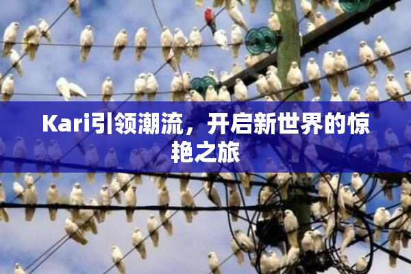Kari引领潮流，开启新世界的惊艳之旅