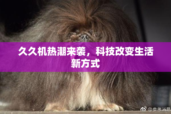 久久机热潮来袭，科技改变生活新方式