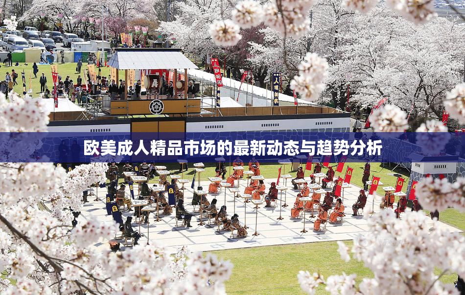 欧美成人精品市场的最新动态与趋势分析