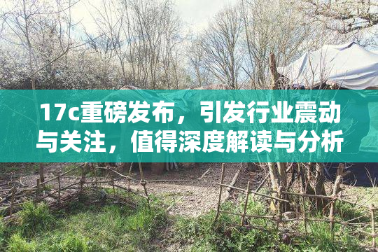 17c重磅发布，引发行业震动与关注，值得深度解读与分析！