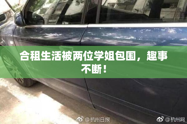 合租生活被两位学姐包围，趣事不断！