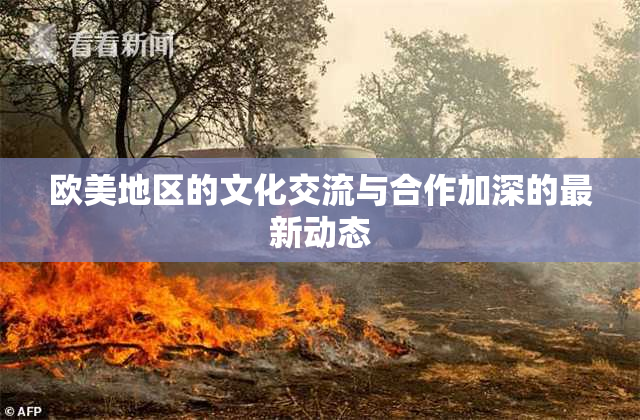 欧美地区的文化交流与合作加深的最新动态