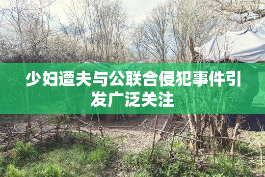 少妇遭夫与公联合侵犯事件引发广泛关注