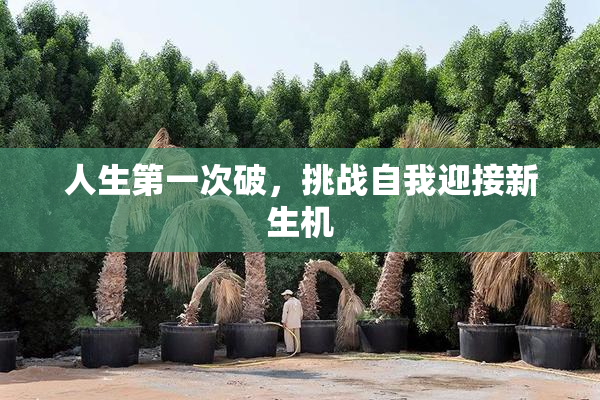 人生第一次破，挑战自我迎接新生机
