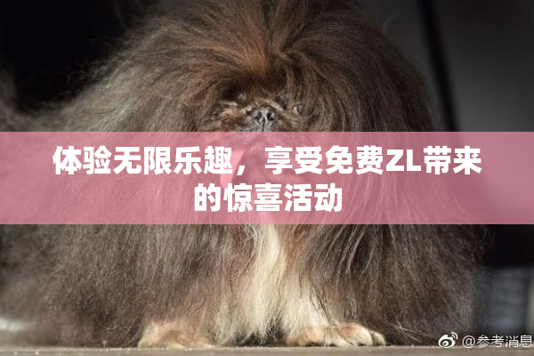 体验无限乐趣，享受免费ZL带来的惊喜活动