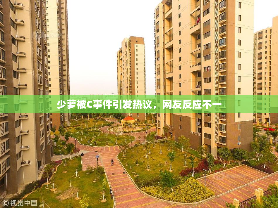 少萝被C事件引发热议，网友反应不一