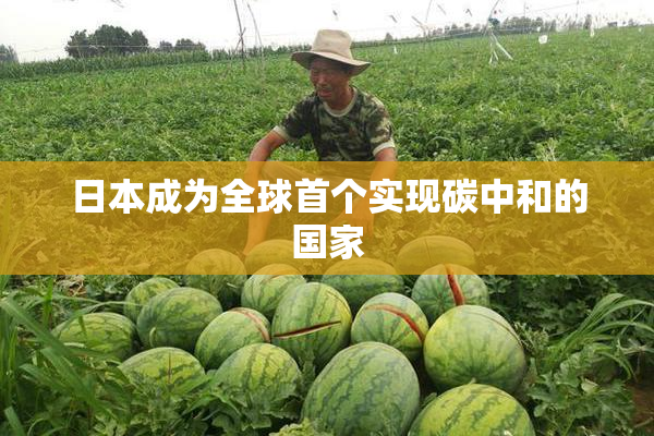 日本成为全球首个实现碳中和的国家