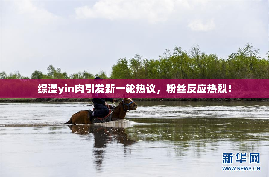 综漫yin肉引发新一轮热议，粉丝反应热烈！