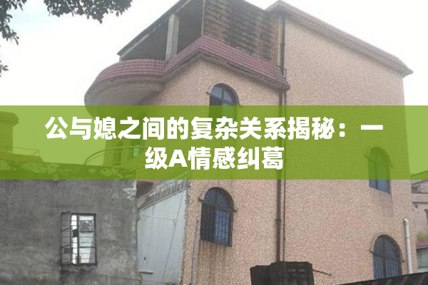 公与媳之间的复杂关系揭秘：一级A情感纠葛
