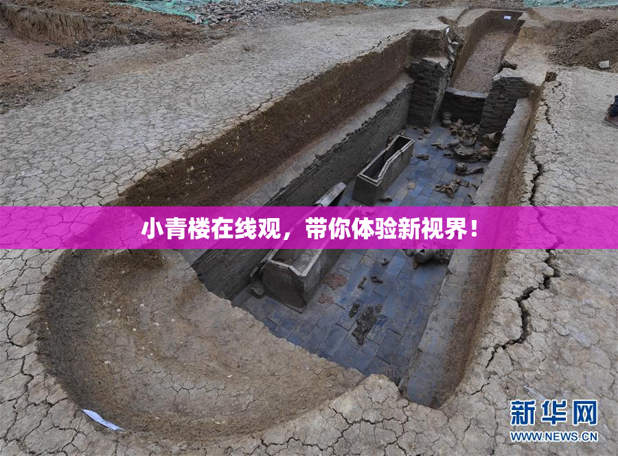 小青楼在线观，带你体验新视界！