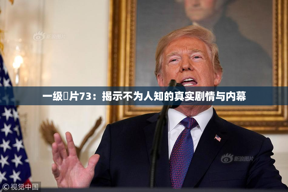 一级婬片73：揭示不为人知的真实剧情与内幕