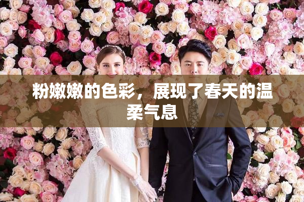 粉嫩嫩的色彩，展现了春天的温柔气息