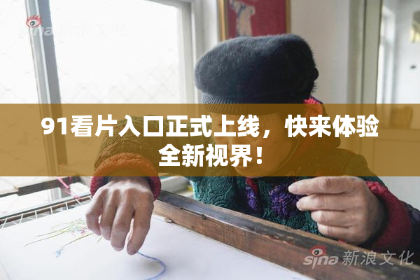 91看片入口正式上线，快来体验全新视界！