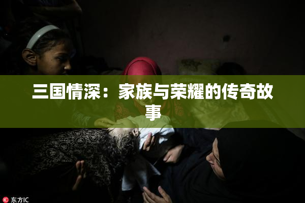 三国情深：家族与荣耀的传奇故事