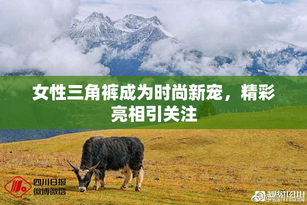 女性三角裤成为时尚新宠，精彩亮相引关注