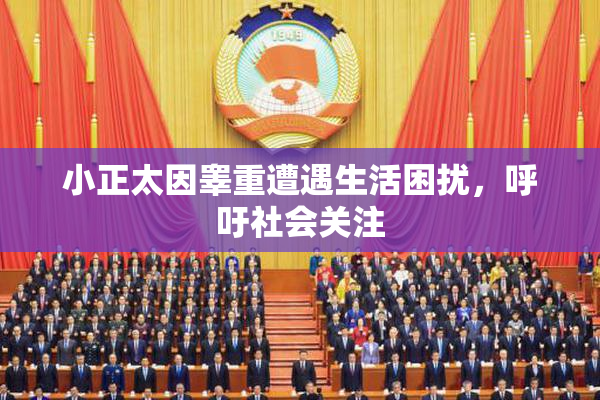 小正太因睾重遭遇生活困扰，呼吁社会关注