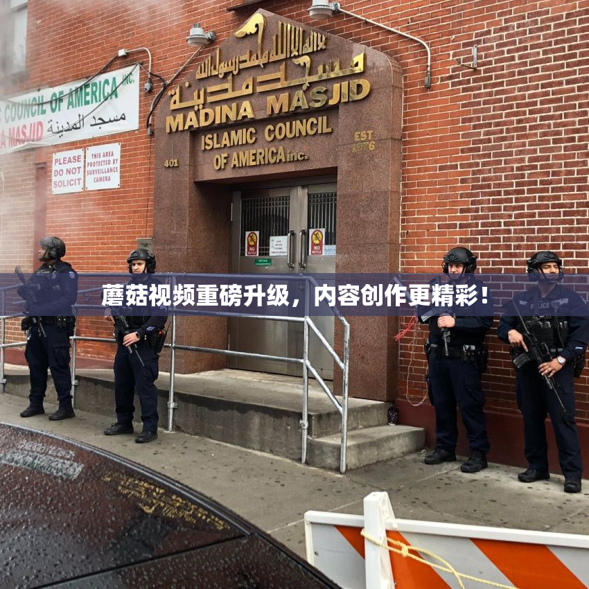 蘑菇视频重磅升级，内容创作更精彩！