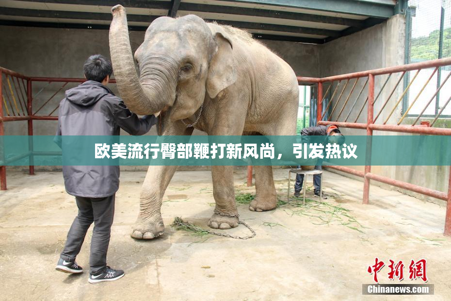 欧美流行臀部鞭打新风尚，引发热议