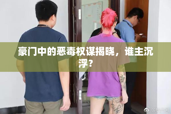 豪门中的恶毒权谋揭晓，谁主沉浮？