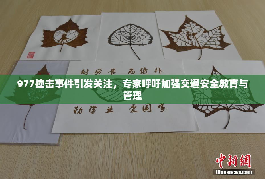 977撞击事件引发关注，专家呼吁加强交通安全教育与管理