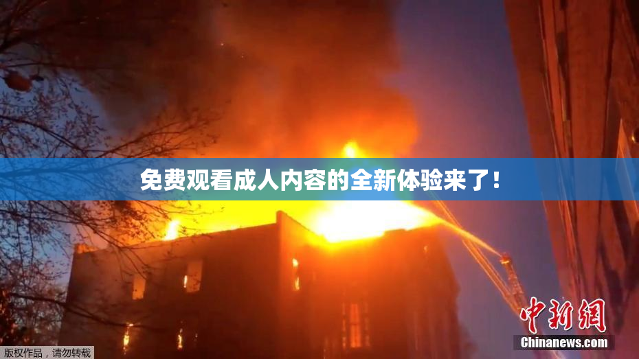 免费观看成人内容的全新体验来了！