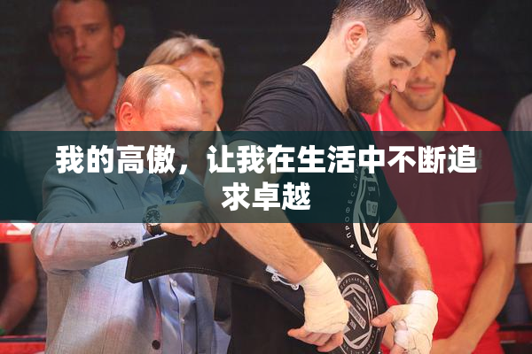 我的高傲，让我在生活中不断追求卓越