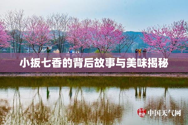 小扳七香的背后故事与美味揭秘