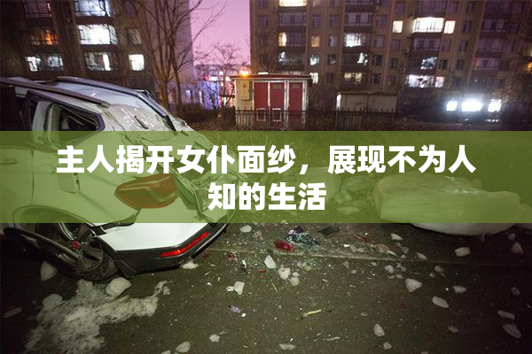主人揭开女仆面纱，展现不为人知的生活