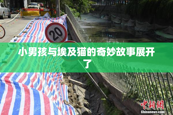 小男孩与埃及猫的奇妙故事展开了