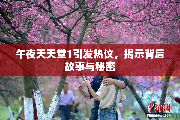 午夜天天堂1引发热议，揭示背后故事与秘密